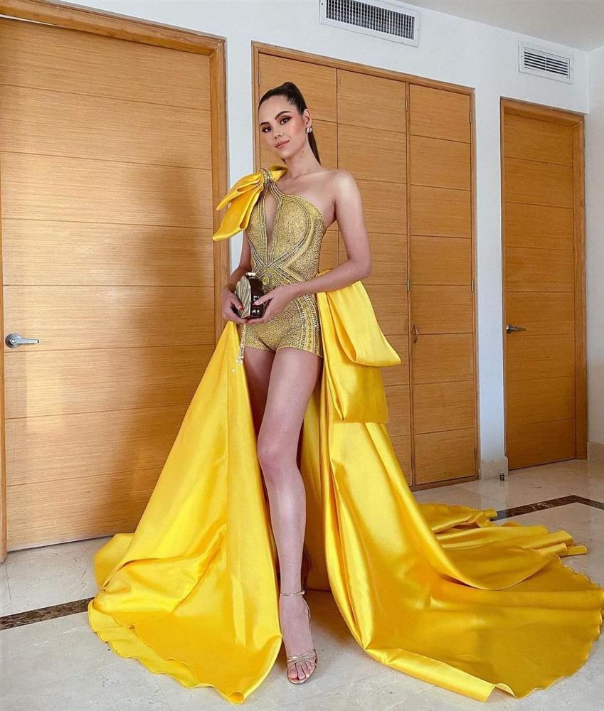 Tổ chức Miss Universe Colombia xin hoa hậu Catriona Gray tha thứ-1
