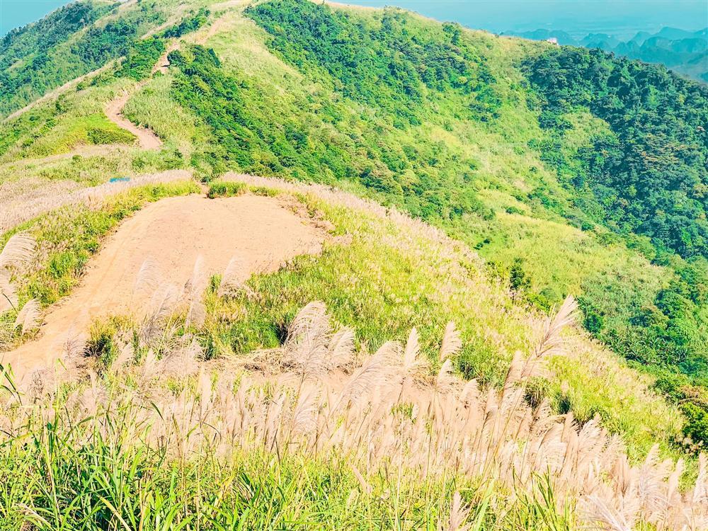 Cần gì đến Quảng Ninh, theo chân ông bố trẻ khám phá Bình Liêu thu nhỏ ngay Hà Nội-2