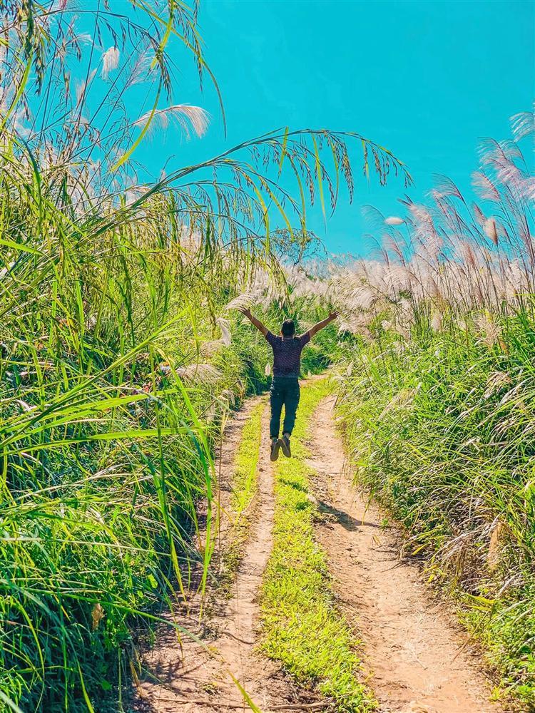 Cần gì đến Quảng Ninh, theo chân ông bố trẻ khám phá Bình Liêu thu nhỏ ngay Hà Nội-5