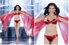 Body thẳng đuột 3 vòng như 1 trong hình bikini của Tân Hoa hậu Đỗ Thị Hà gây thất vọng