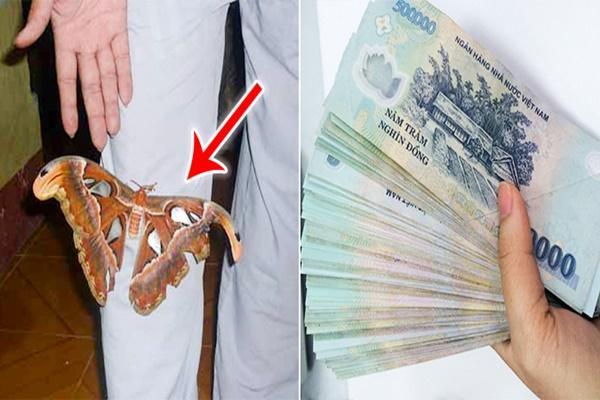 4 dấu hiệu trên bàn thờ, gia chủ cần chú ý cẩn thận tránh bề trên trách phạt, gia chủ đau ốm, tán tài khánh kiệt-3