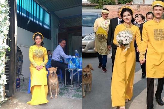 Biểu cảm hớn hở của chú chó vào ngày chủ kết hôn gây bão mạng xã hội, lý do khiến ai cũng gật gù