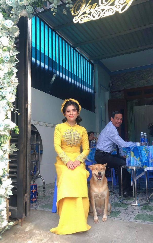 Biểu cảm hớn hở của chú chó vào ngày chủ kết hôn gây bão mạng xã hội, lý do khiến ai cũng gật gù-1