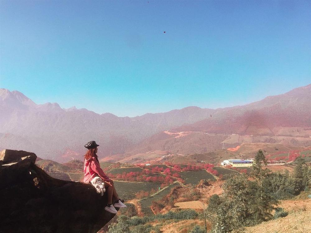 Giới trẻ ngẩn ngơ đón mùa xuân đến sớm giữa muôn sắc hồng của đồi chè Ô Long-6