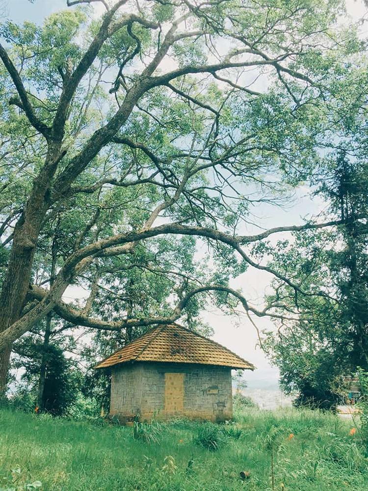 Những địa danh bỏ hoang nhưng lại cực hút giới trẻ ở Đà Lạt-11