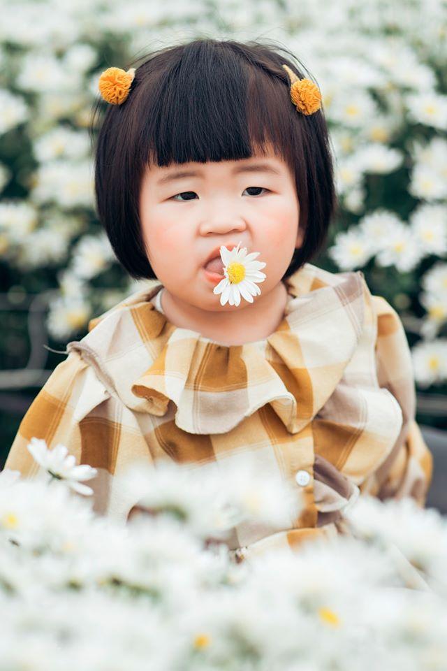 Chùm ảnh đu trend thả dáng bên cúc họa mi, hài hước không thiếu mà thảm họa cũng có thừa-1