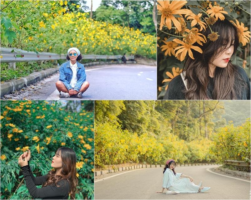 Lưu gấp tọa độ săn hoa dã quỳ ngay Hà Nội, chẳng cần tới Đà Lạt vẫn ‘rinh’ về ảnh đẹp-2