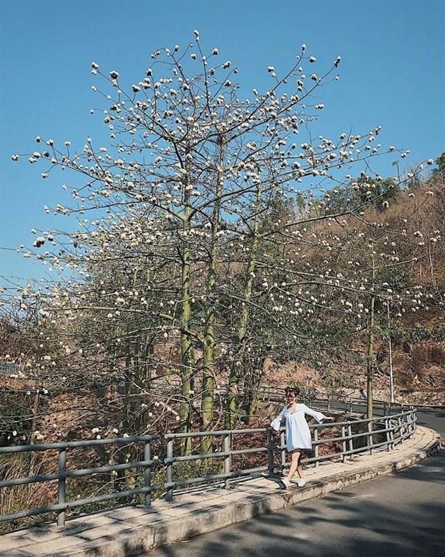 Những địa điểm mới sống ảo không góc chết ở Vũng Tàu làm giới trẻ phát cuồng-5