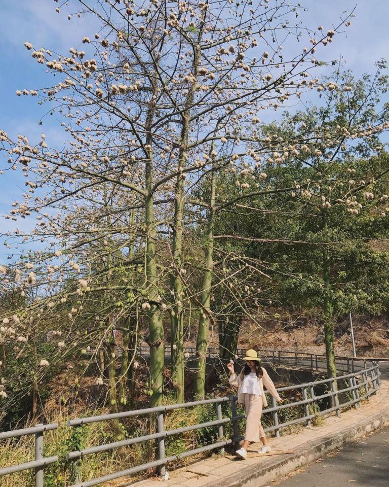 Những địa điểm mới sống ảo không góc chết ở Vũng Tàu làm giới trẻ phát cuồng-8