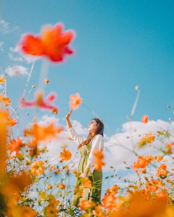 Tử vi 12 cung hoàng đạo thứ Tư ngày 25/11/2020: Xử Nữ quyết đoán, Ma Kết dễ mắc sai lầm-3