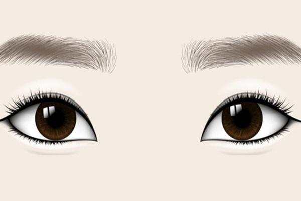 Phụ nữ sở hữu 5 dáng lông mày phúc tướng này, hưởng cuộc sống phú quý, hôn nhân hạnh phúc-2