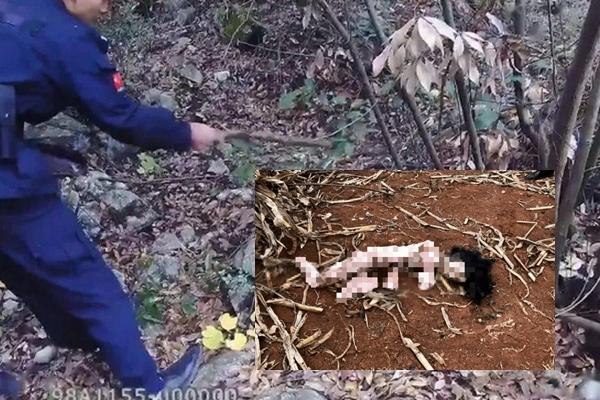 Bị bạo hành, chồng giết vợ mang xác đi đầu thú, hoảng hồn thấy vợ hồi sinh-3