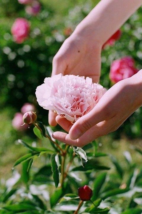 Tử vi 12 cung hoàng đạo thứ Bảy ngày 28/11/2020: Kim Ngưu may mắn, Song Ngư tốn kém tiền bạc-1