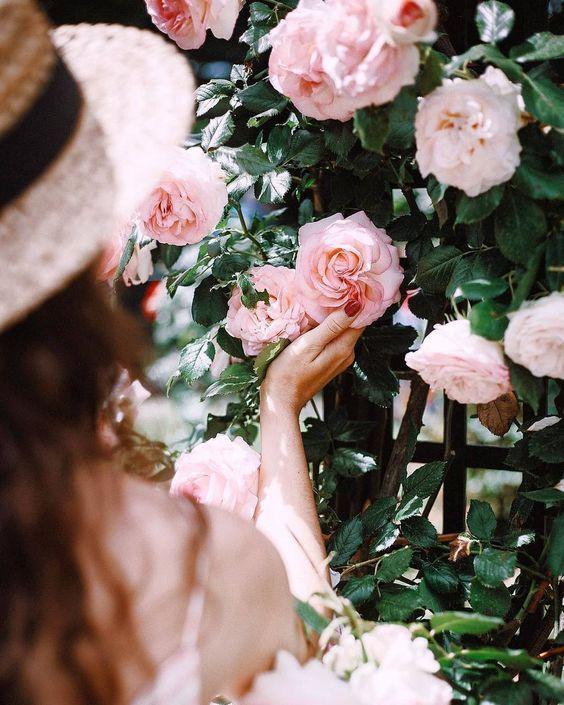 Tử vi 12 cung hoàng đạo thứ Bảy ngày 28/11/2020: Kim Ngưu may mắn, Song Ngư tốn kém tiền bạc-3