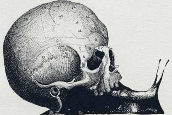 Hình ảnh đầu tiên nhìn thấy tiết lộ nghề nghiệp phù hợp với bạn