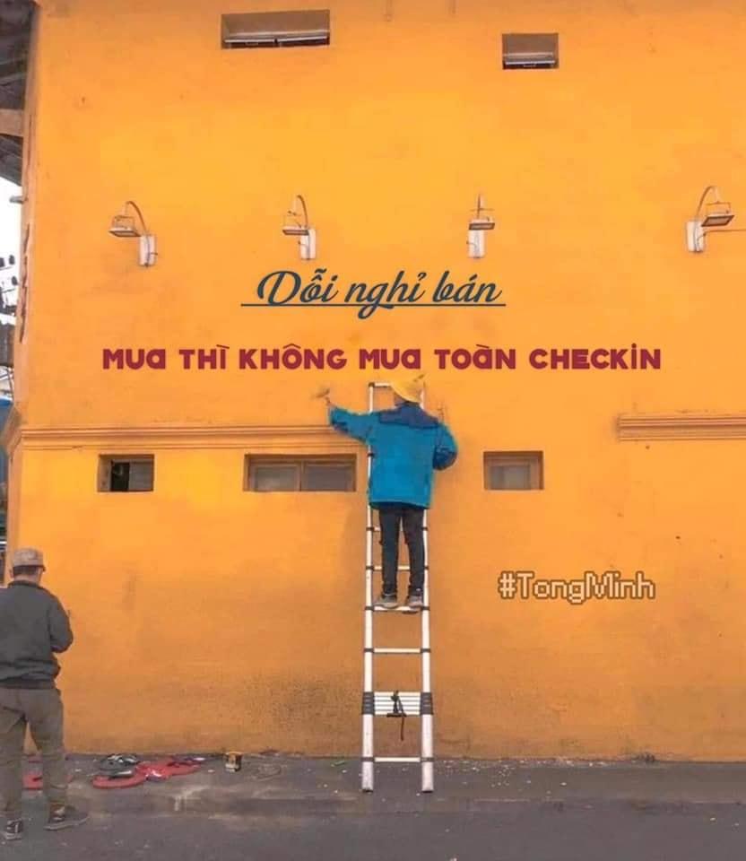 Thượng đế cũng phải cười với loạt ảnh chế lầy lội về bức tường vàng huyền thoại ở Đà Lạt-10