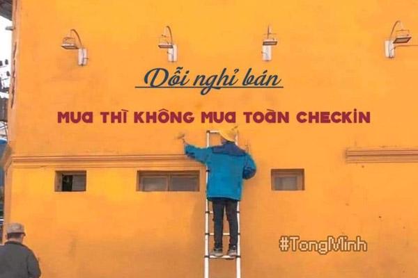 Cười bò bộ ảnh quàng tử bên bụi dã quỳ của 9X quyết chí lên Đà Lạt lập nghiệp-13