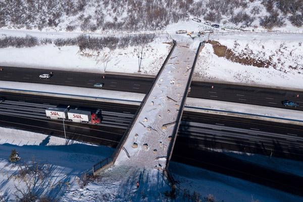 Chụp ảnh cùng động vật hoang dã là tội ác-1