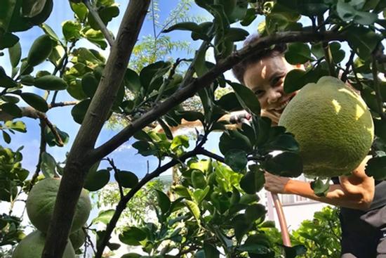 Mẹ Hồ Ngọc Hà làm 'nông dân đô thị'