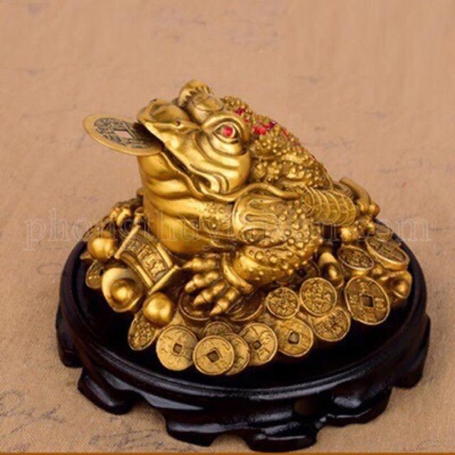 Đặt những vật này trong nhà, cuộc sống may mắn, tài lộc vượng phát vô cùng-1