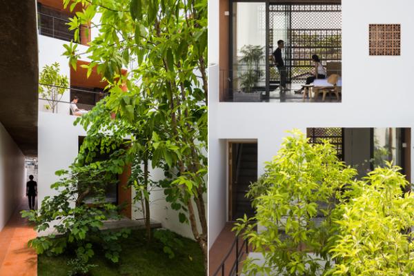 Bể cá không nên đặt linh tinh, người thuộc mệnh này lại càng tuyệt đối tránh-5