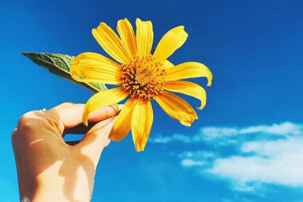 Các cung hoàng đạo sẽ có xu hướng đối mặt với những khó khăn trong cuộc sống như thế nào?-3