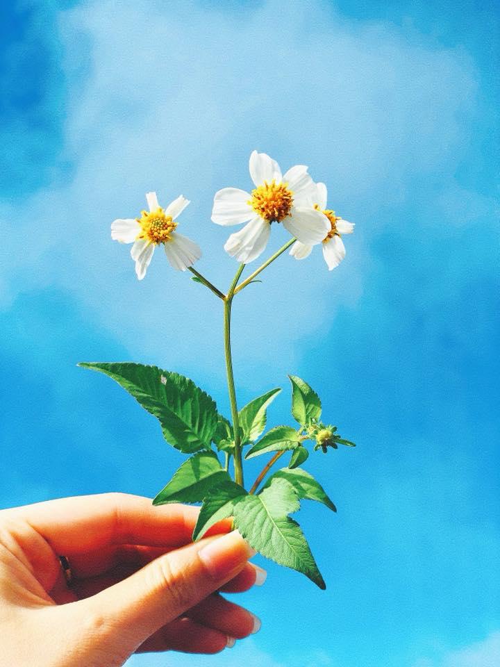 Tử vi thứ 2 ngày 30/11/2020 của 12 con giáp: Hợi thị phi, Sửu nên tận dụng cơ hội-1