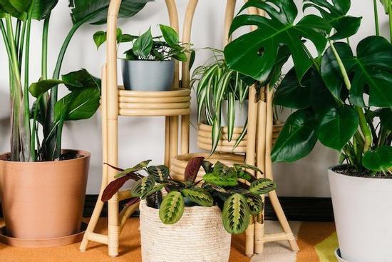 5 dấu hiệu cho thấy ngôi nhà có phong thuỷ tốt, vượng tài lộc