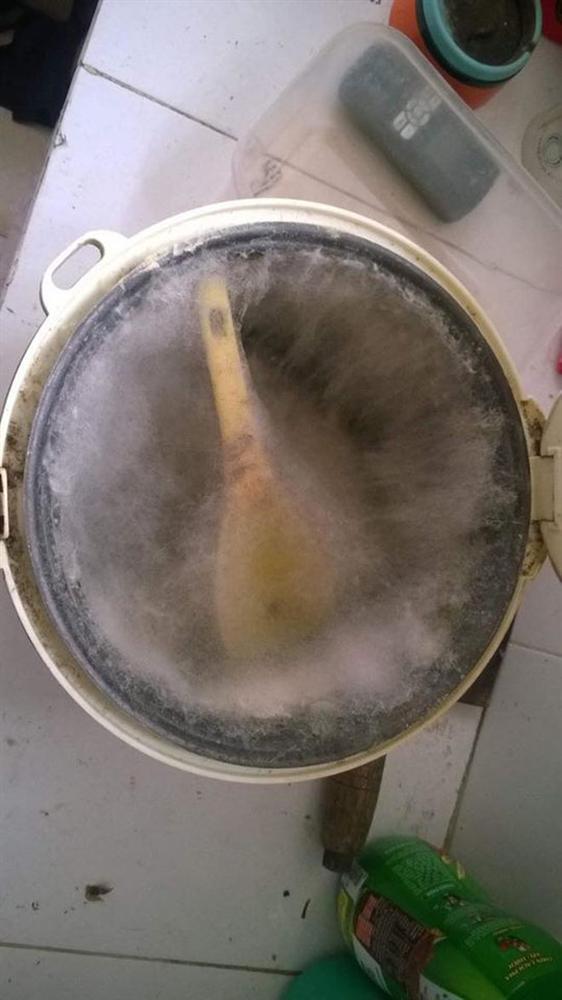 Suýt ngất với series nồi cơm điện mốc meo, bốc mùi kinh dị chỉ vì khố chủ não cá vàng-2