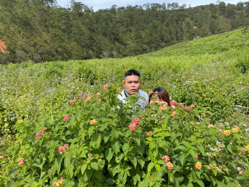 Cười bò bộ ảnh quàng tử bên bụi dã quỳ của 9X quyết chí lên Đà Lạt lập nghiệp-6