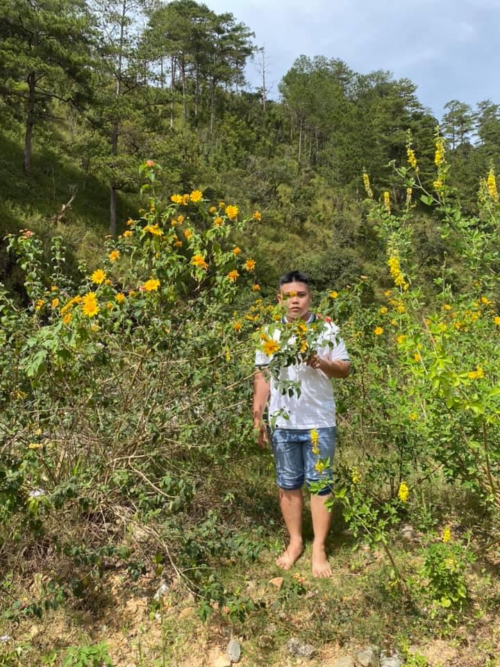 Cười bò bộ ảnh quàng tử bên bụi dã quỳ của 9X quyết chí lên Đà Lạt lập nghiệp-7