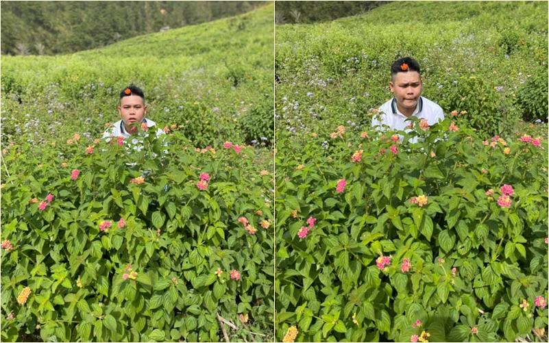 Cười bò bộ ảnh quàng tử bên bụi dã quỳ của 9X quyết chí lên Đà Lạt lập nghiệp-8