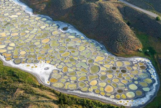 Hồ nước chấm bi ở Canada