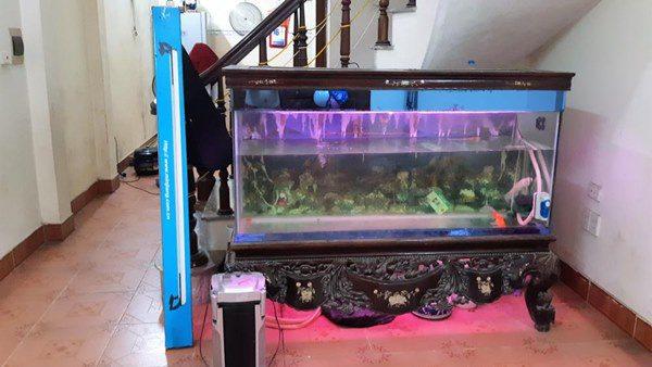 Bể cá không nên đặt linh tinh, người thuộc mệnh này lại càng tuyệt đối tránh-4