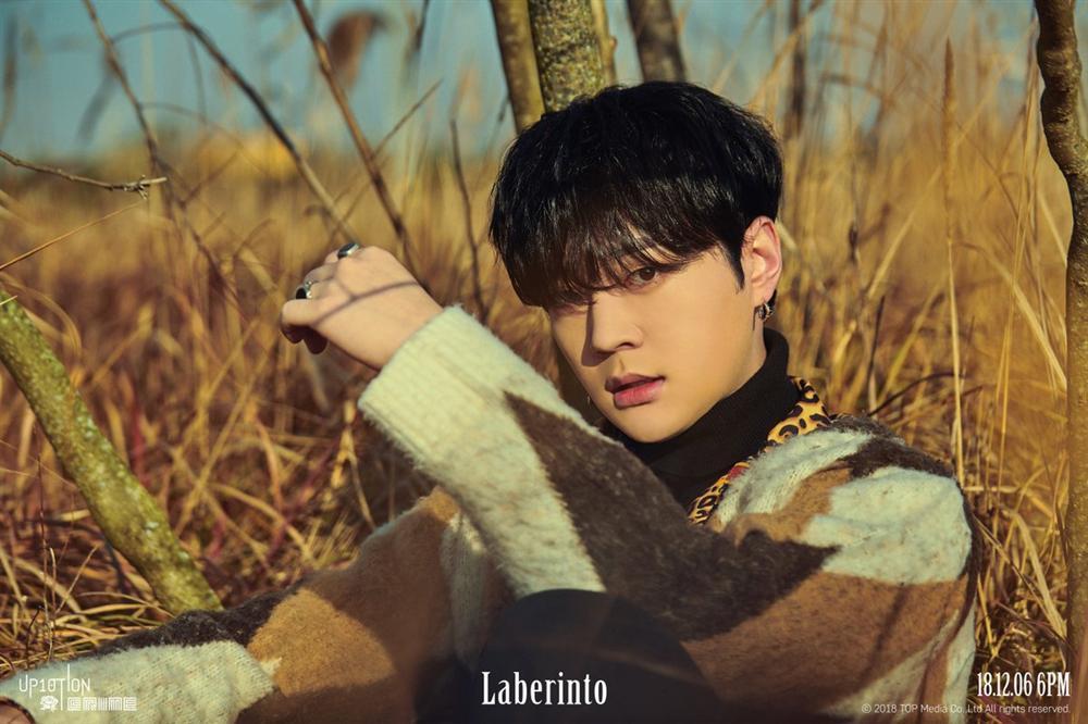 Một Idol dương tính với COVID-19, fandom gần 20 nghệ sĩ khác run cầm cập-3