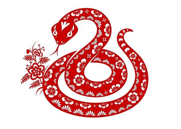 Top 3 con giáp thuộc hàng nữ thần, không chỉ xinh đẹp mà còn có khí chất nổi bật-1