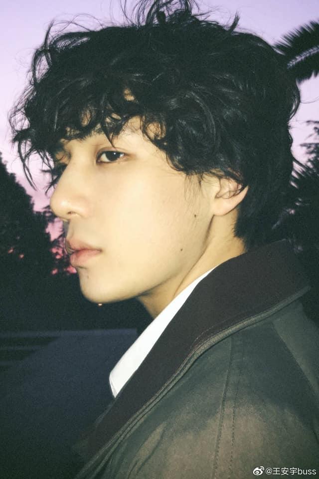 Chân dung Vương An Vũ - mỹ nam cặp em trai Phạm Băng Băng-5