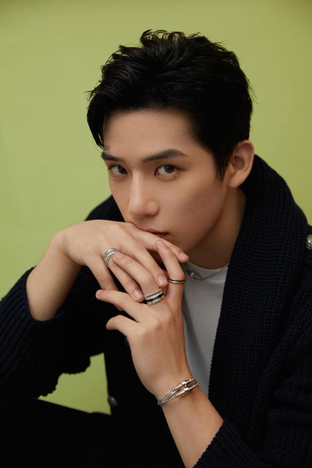 Chân dung Vương An Vũ - mỹ nam cặp em trai Phạm Băng Băng-9