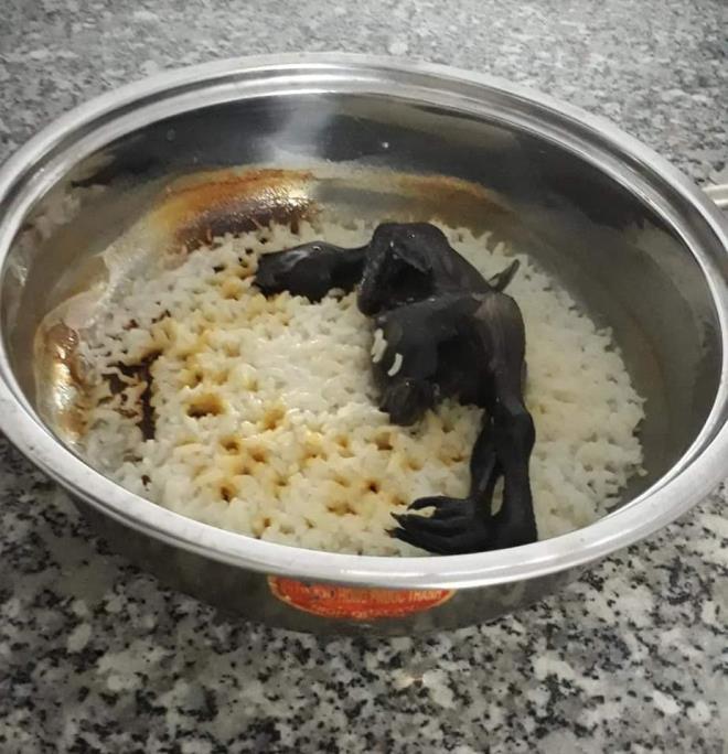 Mấy nàng đoảng cứ nấu cơm kiểu thảm họa thế này e rằng sẽ ế suốt kiếp đấy-3