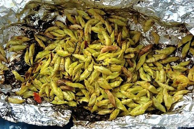 Những đặc sản kinh dị làm từ sâu béo nhung nhúc của Việt Nam, nhiều người nhìn thôi cũng khóc thét-2