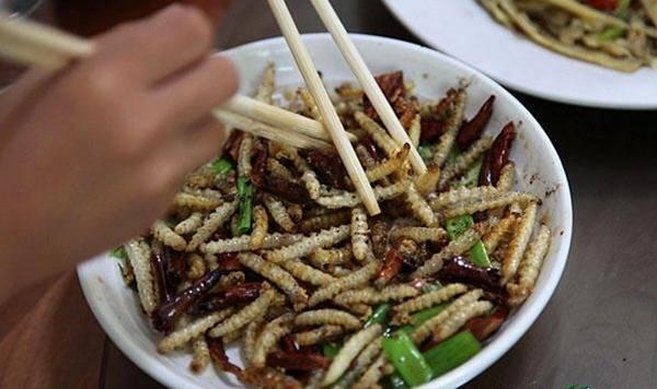 Những đặc sản kinh dị làm từ sâu béo nhung nhúc của Việt Nam, nhiều người nhìn thôi cũng khóc thét-7