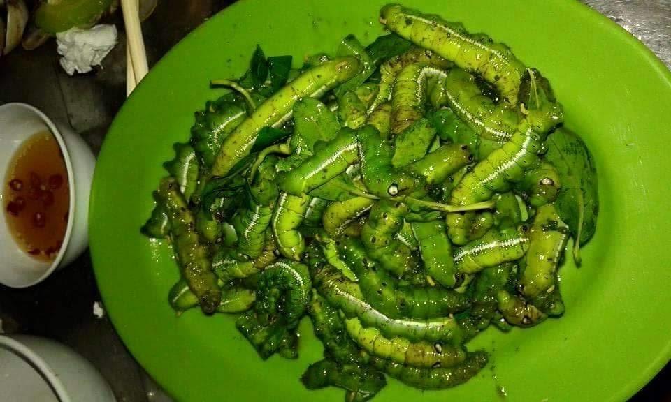 Những đặc sản kinh dị làm từ sâu béo nhung nhúc của Việt Nam, nhiều người nhìn thôi cũng khóc thét-9