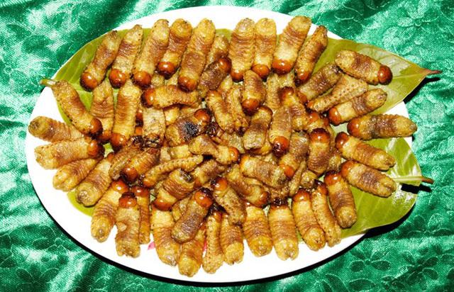 Những đặc sản kinh dị làm từ sâu béo nhung nhúc của Việt Nam, nhiều người nhìn thôi cũng khóc thét-10