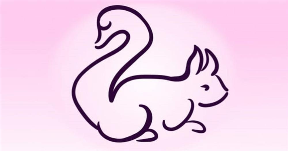 Đây là con thiên nga hay con sóc? Câu trả lời tiết lộ trí thông minh nổi trội của bạn-1