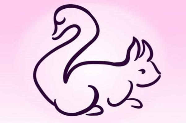 Bạn nhìn thấy sư tử hay ngựa vằn? Câu trả lời tiết lộ bí mật ẩn giấu trong tính cách của bạn-2