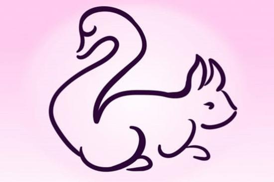 Đây là con thiên nga hay con sóc? Câu trả lời tiết lộ trí thông minh nổi trội của bạn