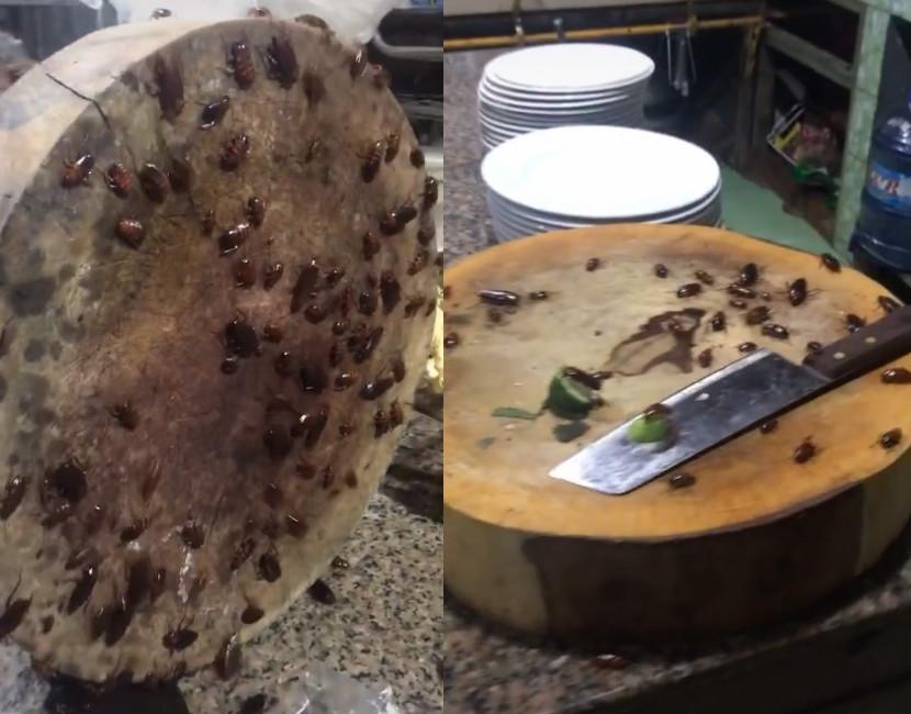 Kinh hoàng nhìn căn bếp thiên hạ đệ nhất ở bẩn với hàng trăm Tiểu Cường đến đại náo-1