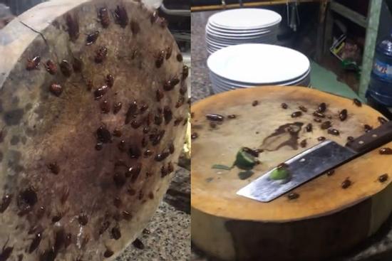 Kinh hoàng nhìn căn bếp 'thiên hạ đệ nhất ở bẩn' với hàng trăm 'Tiểu Cường đến đại náo'