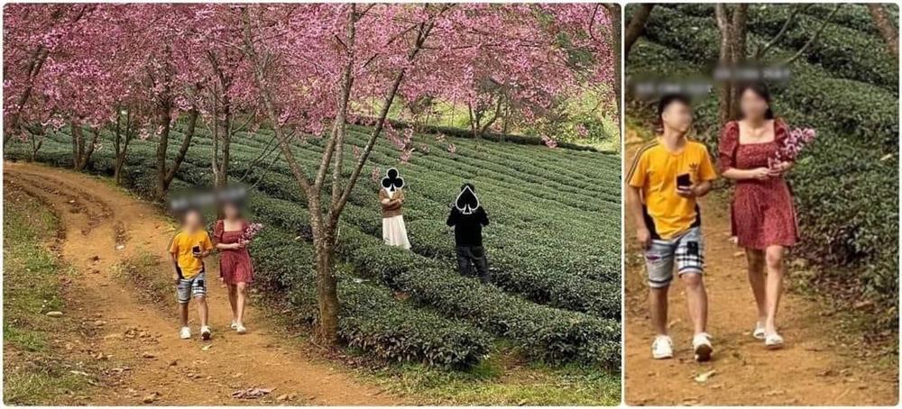 Đồi chè Ô Long vừa mở cửa đã phải đóng do nhiều người vô ý thức xả rác bừa bãi-6