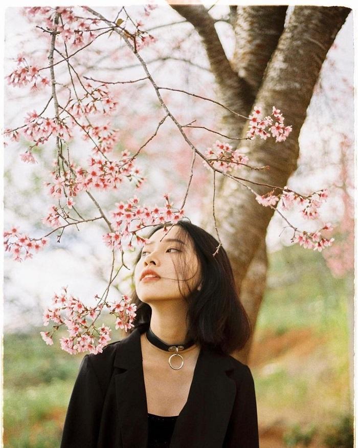 Những mùa hoa nở rộ cuối năm khiến tín đồ du lịch đứng ngồi không yên-1